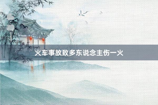 火车事故致多东说念主伤一火
